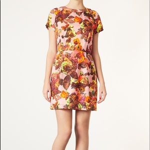 TOPSHOP Floral Printed Shift Dress NWT